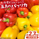 肉厚でジューシーなパプリカ。 色鮮やかで食卓を華やかにしてくれるだけでなく、栄養価も豊富です。 生でサラダに、ピクルスに、炒め物に、バーベキューに、トースターでこんがり焼いてさらに甘く、煮込料理などにもお使いいただけます。 商品説明 名称肉厚＆ジューシー 五島のパプリカ 計18個 五島市/HPIファーム 内容量M玉×18個＝約2.7kg（赤9個・黄9個） 消費期限 発送から10日程度 配送方法冷蔵 配送期日入金確認後、2週間程度で発送 提供事業者農業法人　株式会社HPIファーム #/野菜・果物/野菜/ ■ 定期便 【全3回定期便】五島のパプリカ 計18個 【全6回定期便】五島のパプリカ 計18個 【全12回定期便】五島のパプリカ 計18個 ■ 容量違い 五島のパプリカ 計8個 五島のパプリカ 計12個 五島のパプリカ 計16個 五島のパプリカ 計24個