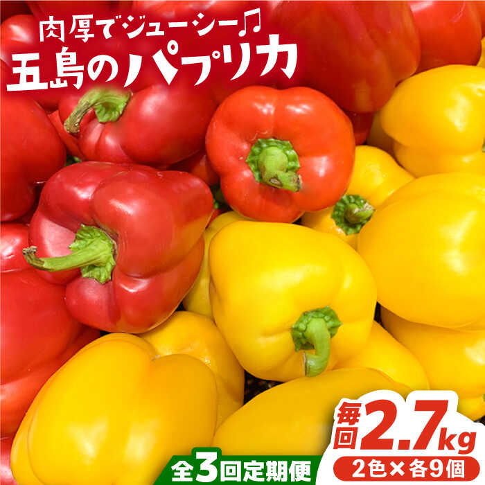 【全3回定期便】五島のパプリカ 計18個 野菜 サラダ 野菜炒め 【HPIファーム】 [PCP004]