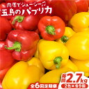 【全6回定期便】五島のパプリカ 計18個 野菜 サラダ 野菜炒め 【HPIファーム】 [PCP005]