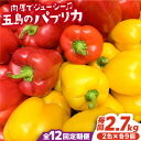 【全12回定期便】五島のパプリカ 計18個 野菜 サラダ 野菜炒め 【HPIファーム】 [PCP006]