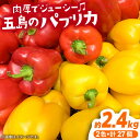 肉厚でジューシーなパプリカ。 色鮮やかで食卓を華やかにしてくれるだけでなく、栄養価も豊富です。 生でサラダに、ピクルスに、炒め物に、バーベキューに、トースターでこんがり焼いてさらに甘く、煮込料理などにもお使いいただけます。 地場産品基準該当理由 市内で生産されたパプリカを返礼品としているため。 商品説明 名称パプリカ（赤8個・黄8個） 内容量M玉×16個＝約2.4kg（赤8個・黄8個） 原料原産地長崎県五島市産 賞味期限発送日より10日程度 アレルギー表示アレルギーなし食品 配送方法冷蔵 配送期日2週間程度 提供事業者農業法人　株式会社HPIファーム パプリカ 赤 黄 セット 詰め合わせ 野菜 やさい 生 サラダ ピクルス 九州 長崎 国産 お取り寄せ#/野菜・果物/野菜/ #/野菜・果物/詰め合わせ/ ■ 関連商品