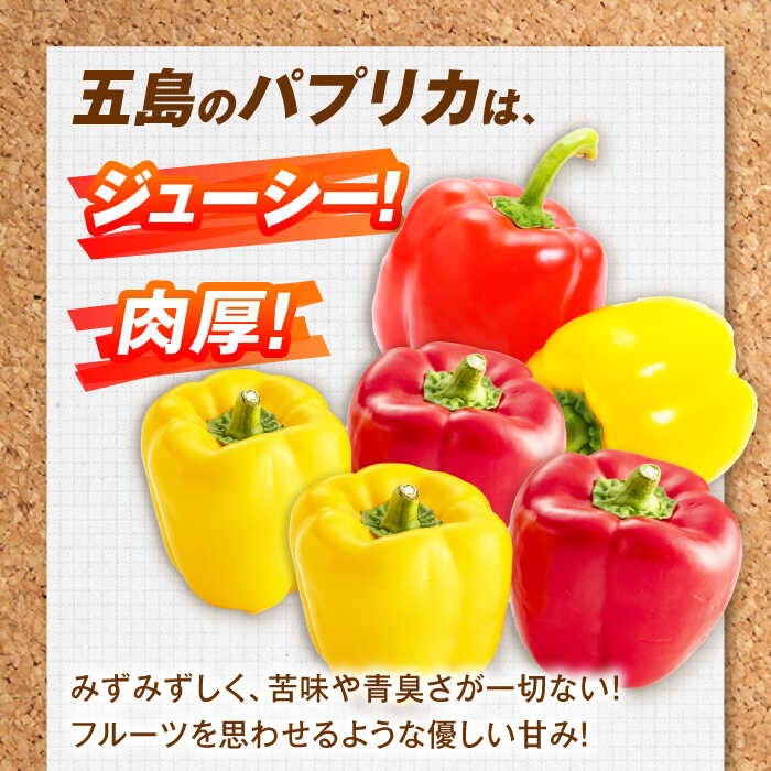 【ふるさと納税】【全6回定期便】パプリカと旬の野菜・フルーツ詰め合わせ 五島市/HPIファーム[PCP013] 野菜 果物 やさい フルーツ 国産 新鮮 緑黄色野菜 産地直送 とれたて