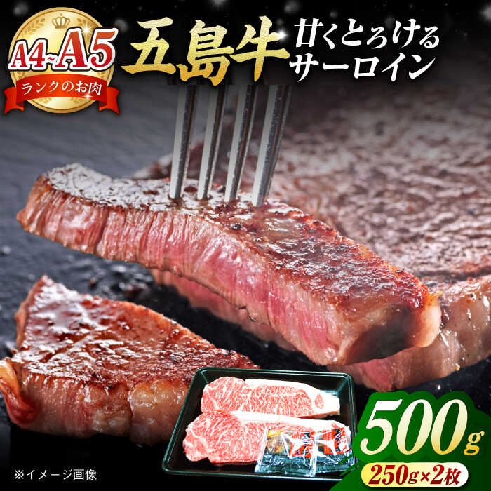 11位! 口コミ数「2件」評価「5」A4 A5ランク 五島牛 サーロインステーキ 250g×2枚【肉のマルヒサ】[PCV002]