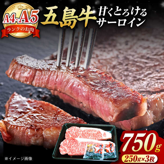 【ふるさと納税】A4 A5ランク 五島牛 サーロインステーキ750g (250g×3枚) 五島市/肉のマルヒサ [PCV054] 国産牛 牛肉 ブランド牛 A4 A5