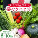 【ふるさと納税】【大自然の恵み 五島 の 朝採れ野菜】何が届くかはお楽しみ♪ 季節 の 野菜セット （8~10品目）【いきいきファーム】[PCY001]