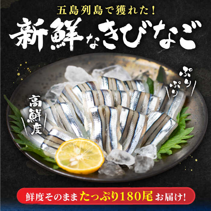 【ふるさと納税】五島産 きびなご 刺身用 180尾 (20尾×9P) 五島市/鯛福丸水産 [PDP001]