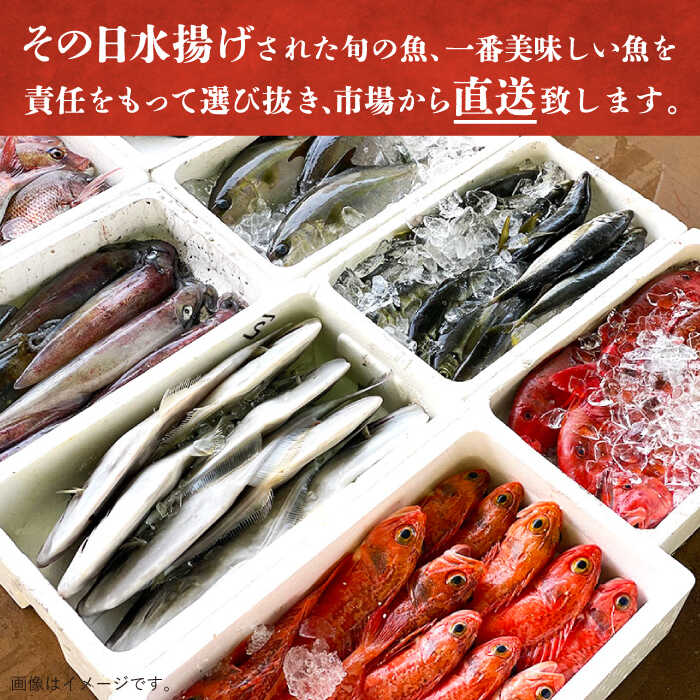 【ふるさと納税】【五島列島・直送】朝獲れ！高級鮮魚セット2kg 五島市 / 鯛福丸水産 [PDP002]