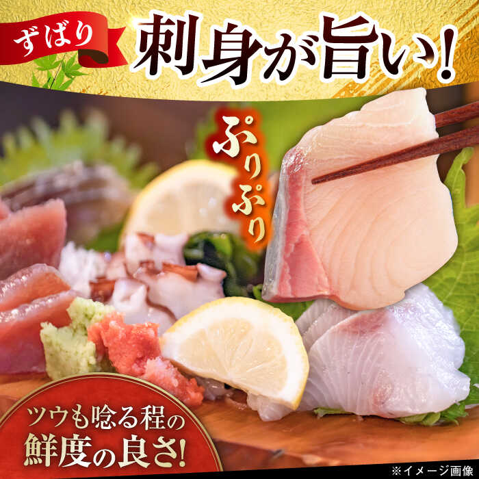 【ふるさと納税】【五島列島・直送】朝獲れ！高級鮮魚セット6kg 五島市 / 鯛福丸水産 [PDP004]