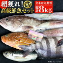 朝獲れ！高級鮮魚セット2kg 五島市 / 鯛福丸水産 