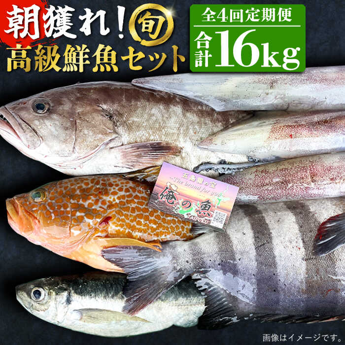【ふるさと納税】【全4回定期便】【五島列島・直送】朝獲れ！高級鮮魚セット4kg 五島市 / 鯛福丸水産 [PDP006] 魚 鮮魚 セット 海鮮 直送 さかな 詰合せ 冷蔵 定期