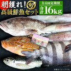 【ふるさと納税】【全4回定期便】【五島列島・直送】朝獲れ！高級鮮魚セット4kg 五島市 / 鯛福丸水産 [PDP006]