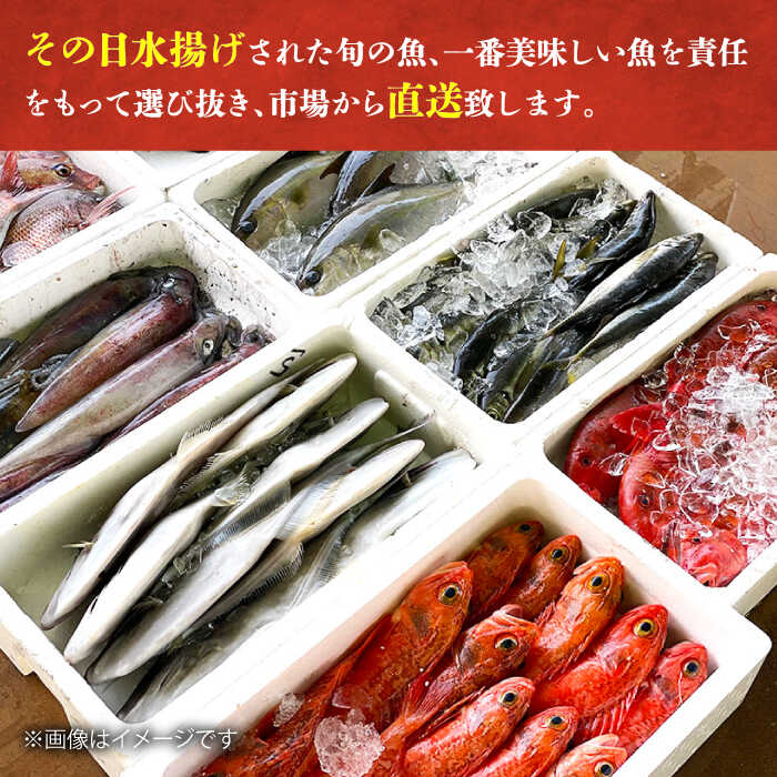 【ふるさと納税】【五島列島・直送】朝獲れ！鮮魚セット2kg 鯛福丸水産/五島市 [PDP008]