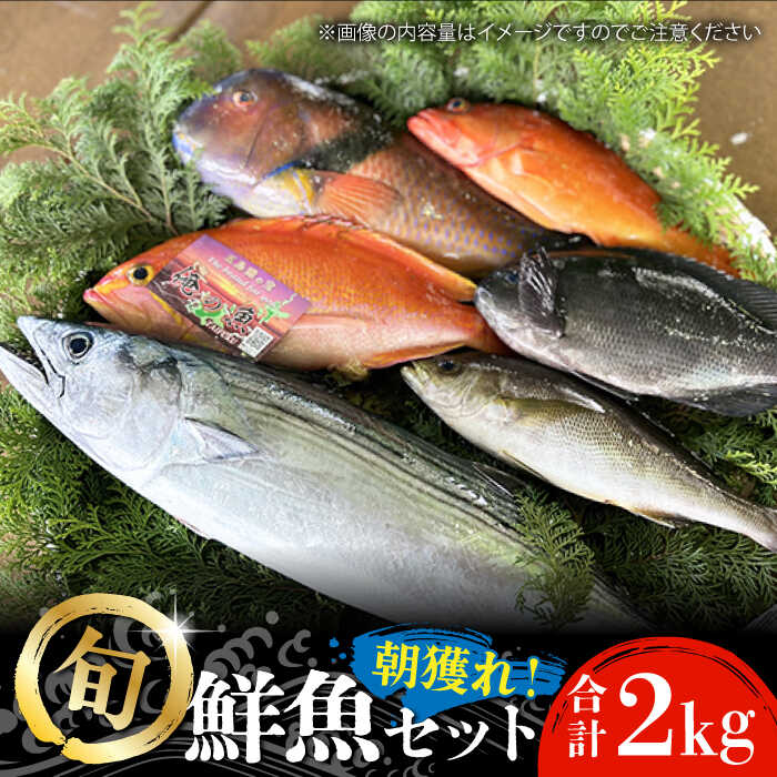 49位! 口コミ数「5件」評価「5」【五島列島・直送】朝獲れ！鮮魚セット2kg 鯛福丸水産/五島市 [PDP008]