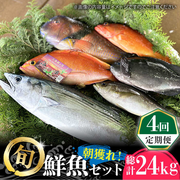 その日水揚げされた、旬の美味しいお魚を市場から直送致します。 地元の方も食べている五島ならではのお魚を、全国の皆様もぜひご賞味ください。 なおこちらの鮮魚セットは、そのままの姿でお届け致します。下処理から調理も含めお楽しみください。 五島で獲れる季節ごとの主な魚種※ 【春】サワラ、アマダイ、平スズキ、石鯛、ヒラメ、マダイ 【夏】ゴマサバ、シマアジ、アジ、メイチ、白イカ、石垣鯛、イサキ、スジアラ、赤ハタ 【秋】石垣鯛、メイチダイ、スジアラ、スギ、イサキ、カンダイ 【冬】平スズキ、スマカツオ、メジ、メジナ、カンパチ、ヒレ長カンパチ、ブリ、クロムツ、アオリイカ、ヤガラ ※画像のイメージは、魚種をご紹介するもので、量ではございませんのでご注意ください。 ※基本は、魚種や匹数に関してはおまかせでお楽しみになります。ご希望がございましたら「小さめの魚を多めに」「大きい魚をメインに」など、備考欄に記載いただけましたら可能な限り承らせて頂きます。 ※水揚げ状況により、ご要望にお応えできない場合もございます。 ※悪天候などの影響により、発送が遅れる場合がございます。予めご了承の上お申し込みくださいませ。 【下記商品を毎月1回、計4回お届けします。】 鮮魚 6Kg 【消費期限】生食の場合、発送日より4日以内 加熱調理の場合、発送日より5日以内 【原料原産地】 五島市産 鮮魚 魚　セット 詰め合わせ 冷蔵 おまかせ 旬 刺身　刺し身 九州 長崎　海鮮　海産物　海の幸　お楽しみ #/海産物/鮮魚/ 地場産品基準該当理由 五島近海で水揚げされた鮮魚を返礼品としているため。その日水揚げされた、旬の美味しいお魚を市場から直送致します。 地元の方も食べている五島ならではのお魚を、全国の皆様もぜひご賞味ください。 なおこちらの鮮魚セットは、そのままの姿でお届け致します。下処理から調理も含めお楽しみください。 五島で獲れる季節ごとの主な魚種※ 【春】サワラ、アマダイ、平スズキ、石鯛、ヒラメ、マダイ 【夏】ゴマサバ、シマアジ、アジ、メイチ、白イカ、石垣鯛、イサキ、スジアラ、赤ハタ 【秋】石垣鯛、メイチダイ、スジアラ、スギ、イサキ、カンダイ 【冬】平スズキ、スマカツオ、メジ、メジナ、カンパチ、ヒレ長カンパチ、ブリ、クロムツ、アオリイカ、ヤガラ ※画像のイメージは、魚種をご紹介するもので、量ではございませんのでご注意ください。 ※基本は、魚種や匹数に関してはおまかせでお楽しみになります。ご希望がございましたら「小さめの魚を多めに」「大きい魚をメインに」など、備考欄に記載いただけましたら可能な限り承らせて頂きます。 ※水揚げ状況により、ご要望にお応えできない場合もございます。 ※悪天候などの影響により、発送が遅れる場合がございます。予めご了承の上お申し込みくださいませ。 商品説明 名称【全4回定期便】五島列島直送！朝獲れ鮮魚セット6kg 内容量【下記商品を毎月1回、計4回お届けします。】 鮮魚 6kg 原料原産地五島市産 消費期限生食の場合、発送日より4日以内 加熱調理の場合、発送日より5日以内 アレルギー表示含んでいる品目：さば・いか 配送方法冷蔵 配送期日【注意事項】 ・こちらの商品の配送月は【3/5/8/12/月】になります。 ・初回配送は申込日の次の配送月1日〜15日頃となります。 ・在庫の状況次第ではお待たせする場合がございます。 ・申込が多くなった場合は、配送に遅れが生じる場合がございます。 ・内容はおまかせになります。 ・水揚げ状況により、ご要望にお応えできない場合もございます。 提供事業者鯛福丸水産 鮮魚 魚 セット 詰め合わせ 冷蔵 おまかせ 旬 刺身 刺し身 九州 長崎 海鮮 海産物 海の幸 お楽しみ #/海産物/鮮魚/ ■ 関連商品 五島列島直送！朝獲れ鮮魚セット6kg　鯛福丸水産/五島市 【五島列島・直送】朝獲れ！鮮魚セット2kg 鯛福丸水産/五島市 五島列島直送！朝獲れ鮮魚セット4kg　鯛福丸水産/五島市 地場産品基準該当理由 五島近海で水揚げされた鮮魚を返礼品としているため。