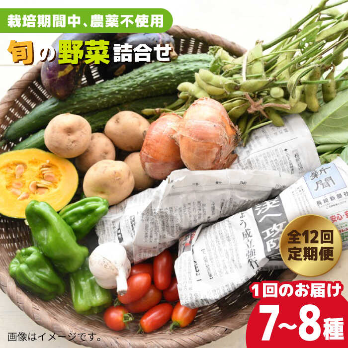 【ふるさと納税】【全12回定期便】有機農法・旬の野菜詰め合わせ 五島市/ぷらっと農園 [PDS004]のサムネイル