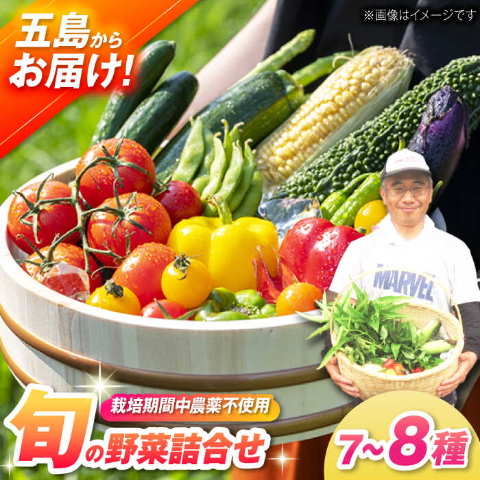 [一人暮らしに]有機農法・旬の野菜詰め合わせ 五島市/ぷらっと農園 