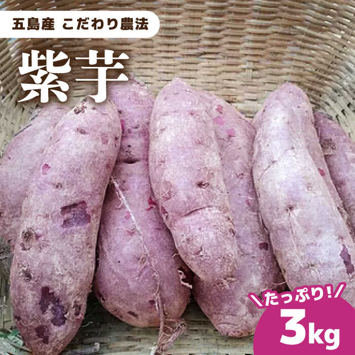 【ふるさと納税】五島列島直送 自然栽培 こだわりの紫芋 五島市/ぷらっと農園 [PDS006]のサムネイル