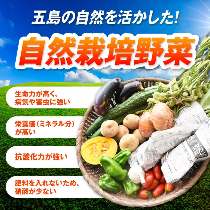 【ふるさと納税】【全3回定期便】有機農法・旬の野菜詰め合わせ 五島市/ぷらっと農園 [PDS007]