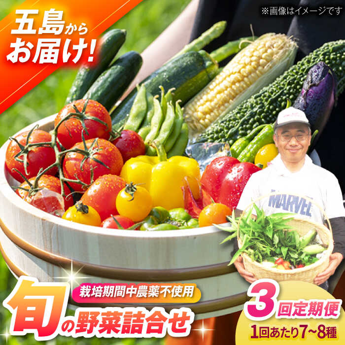 [全3回定期便]有機農法・旬の野菜詰め合わせ 五島市/ぷらっと農園 