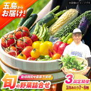 【ふるさと納税】【全3回定期便】有機農法・旬の野菜詰め合わせ
