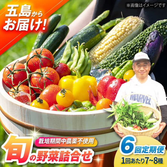 【ふるさと納税】【全6回定期便】有機農法・旬の野菜詰め合わせ 五島市/ぷらっと農園 [PDS008]