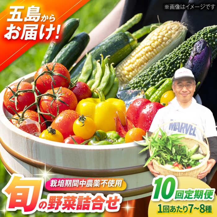 【ふるさと納税】【全10回定期便】有機農法・旬の野菜詰め合わ