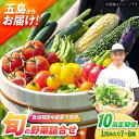 有機農法・旬の野菜詰め合わせ 五島市/ぷらっと農園