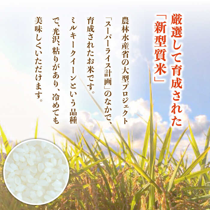 【ふるさと納税】スイートミルク 5キロ 五島市 / 山口商店 [PEC002] 米 お米 こめ おこめ ごはん ご飯 白米 精米