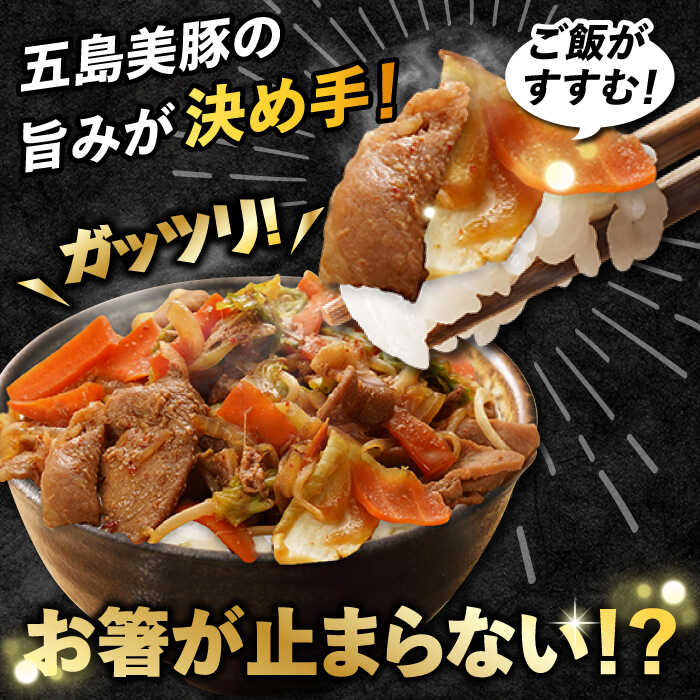 【ふるさと納税】味付け豚肉 美豚ちゃん300g×3個【長崎フードサービス】 [PEL001]