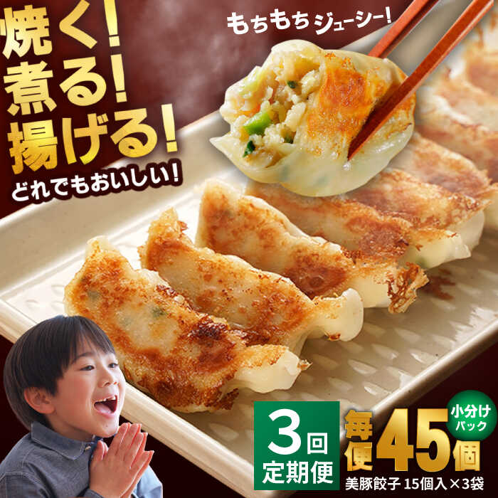【ふるさと納税】【全3回定期便】美豚餃子15個入×3袋 冷凍