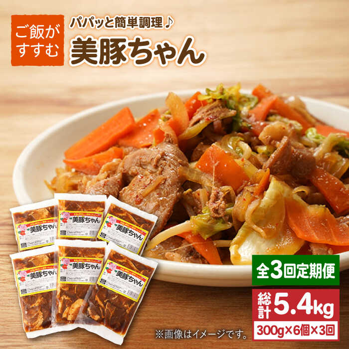 【ふるさと納税】 【全3回定期便】味付け豚肉 美豚ちゃん300g×6個【長崎フードサービス】 [PEL014]