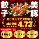 【ふるさと納税】【全12回定期便】美豚餃子15個入×6袋 冷凍餃子 五島市/長崎フードサービス [PEL024] 2