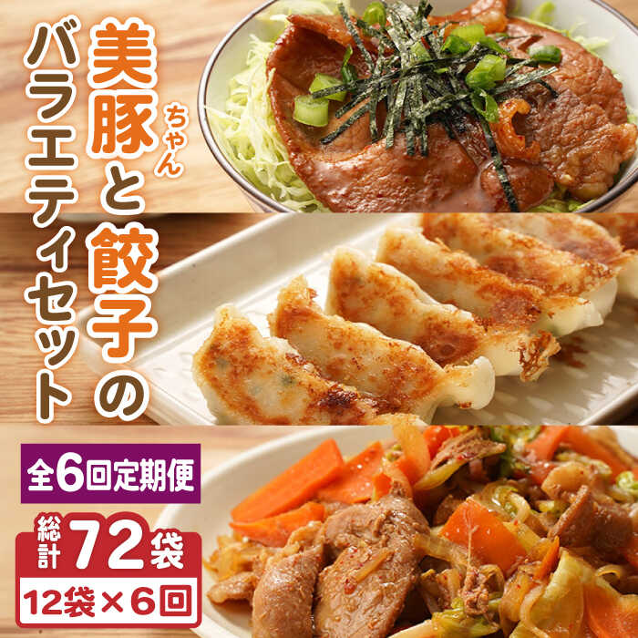 【ふるさと納税】【全6回定期便】美豚ちゃん2種・餃子セット 各4袋 味付け豚肉 冷凍餃子【長崎フードサ..