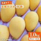 【ふるさと納税】【数量限定】もぎたて！五島のびわ（甘香）化粧箱入 秀品 500g【ごとう農業協同組合】[PEM002]