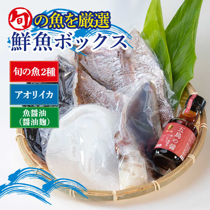 金澤仕立て 鮮魚ボックス(旬の魚2種・アオリイカ・魚醤油1種)五島市/金沢鮮魚 