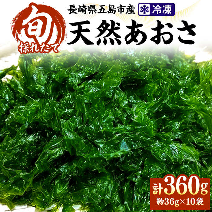 [採れたその日に冷凍保存]冷凍 天然あおさ 36g×10袋 五島市/金沢鮮魚 [PEP004] 冷凍 国産 アオサ 青さ 海藻 食物繊維 のり