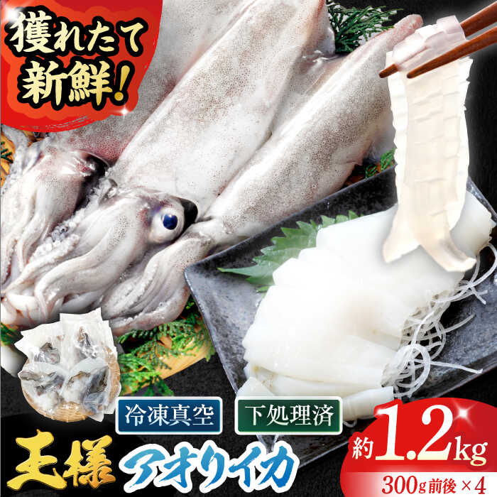 【ふるさと納税】【イカの王様】アオリイカ（300g×4杯）冷凍 刺身 五島市/金沢鮮魚 [PEP005]