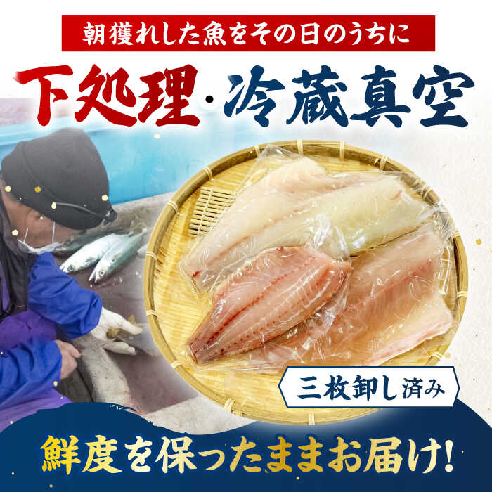 【ふるさと納税】【冷蔵】【下処理済】鮮魚ボックス3種 五島市/金沢鮮魚[PEP007] 冷蔵 真空パック 新鮮 下処理済み 海鮮 刺身 セット 金澤仕立て 鮮魚 冷蔵 真空パック 新鮮 下処理済み 海鮮 刺身 セット