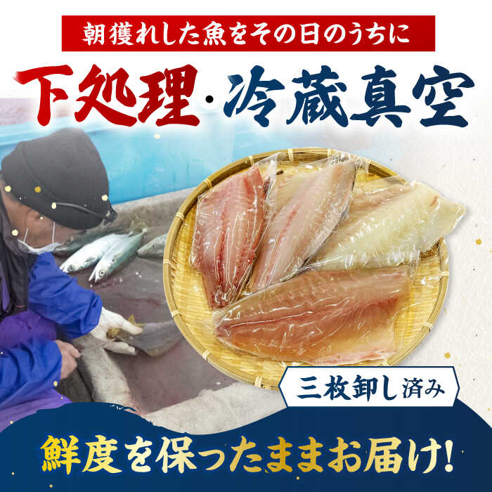 【ふるさと納税】金澤仕立て 鮮魚ボックス 五島市/金沢鮮魚[PEP008] 刺し身セット 冷蔵 真空パック 新鮮 下処理済み 海鮮 刺身 セット