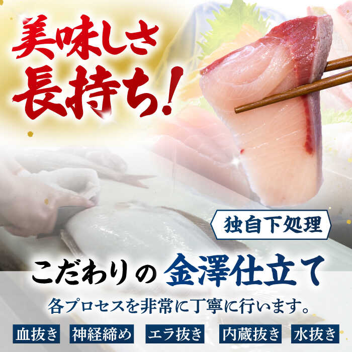 【ふるさと納税】金澤仕立て 鮮魚ボックス 五島市/金沢鮮魚[PEP008] 刺し身セット 冷蔵 真空パック 新鮮 下処理済み 海鮮 刺身 セット