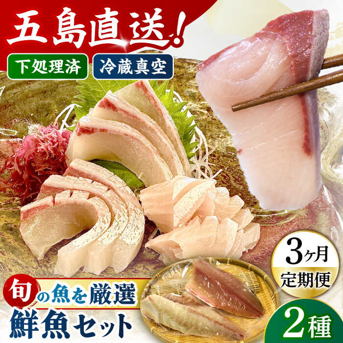 【ふるさと納税】【全3回定期便】金澤仕立て 鮮魚ボックス 旬の魚2種 鮮魚 簡単 旬 海鮮 真空 冷蔵 五島市/金沢鮮魚[PEP009]のサムネイル