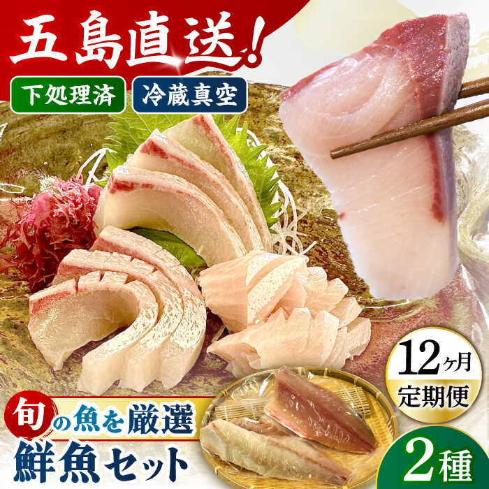 【ふるさと納税】【全12回定期便】金澤仕立て 鮮魚ボックス 旬の魚2種 五島市/金沢鮮魚[PEP011] 冷蔵 真空パック 新鮮 下処理済み 海鮮 刺身 セット