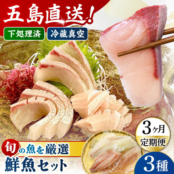 [全3回定期便]金澤仕立て 鮮魚ボックス 旬の魚3種 五島市/金沢鮮魚[PEP012] 冷蔵 真空パック 新鮮 下処理済み 海鮮 刺身 セット