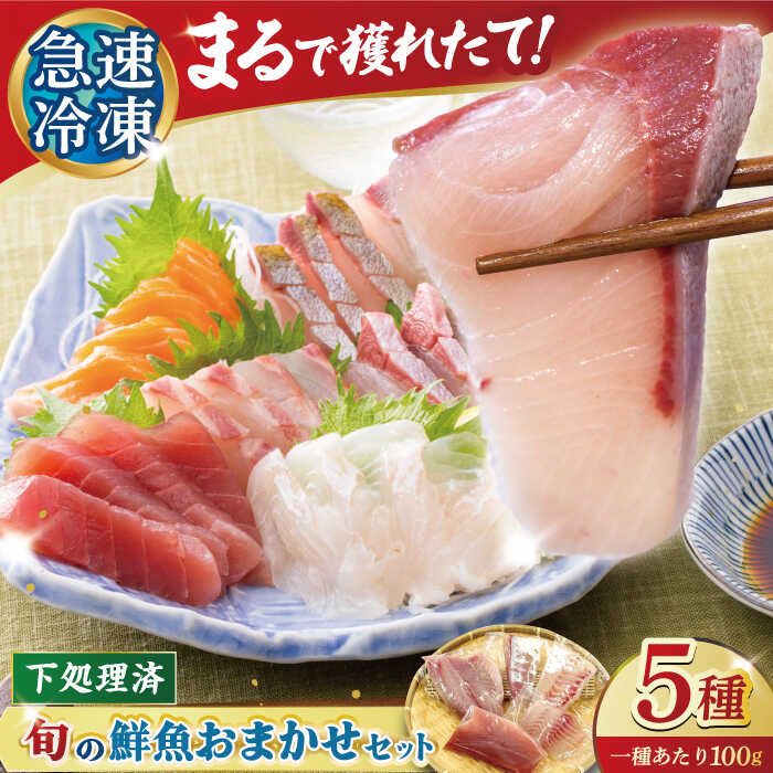 【ふるさと納税】【五島の旬】下処理済み 超速冷凍 鮮魚 5種 五島市 / 金沢鮮魚[PEP018] 柵 冷蔵 真空パック 新鮮 下処理済み 海鮮 刺身 セット