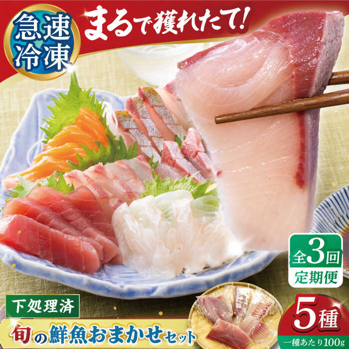 【ふるさと納税】【全3回定期便】【五島の旬】下処理済み 超速冷凍 鮮魚 5種 五島市 / 金沢鮮魚[PEP019] 柵 冷蔵 真空パック 新鮮 下処理済み 海鮮 刺身 セット