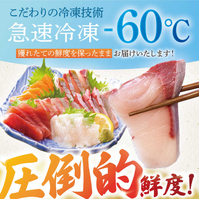 【ふるさと納税】【6回定期便】【下処理済】超速冷凍鮮魚5種 五島市 / 金沢鮮魚[PEP020] 柵 冷蔵 真空パック 新鮮 下処理済み 海鮮 刺身 セット