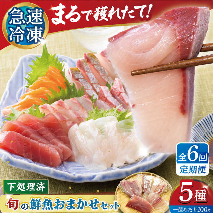 【ふるさと納税】【全6回定期便】【五島の旬】下処理済み 超速冷凍 鮮魚 5種 五島市 / 金沢鮮魚[PEP020] 柵 冷蔵 真空パック 新鮮 下処理済み 海鮮 刺身 セット