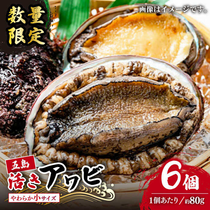 【ふるさと納税】【日付指定必須】【エリア限定】【数量限定】五島産養殖活アワビ6個 小サイズ あわび 鮑 五島市/都工業 [PEX002]