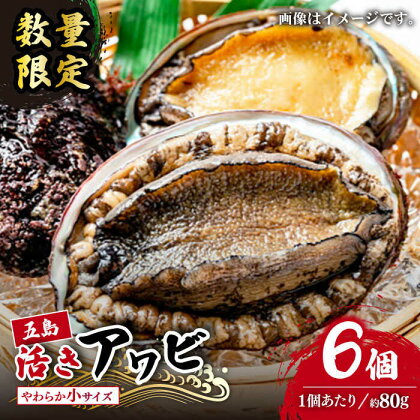 【日付指定必須】【エリア限定】【数量限定】五島産養殖活アワビ6個 小サイズ あわび 鮑 五島市/都工業 [PEX002]