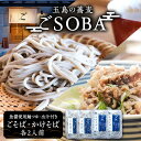 【ふるさと納税】【島の風土が凝縮！五島の蕎麦】ごSOBA 4人前 魚醤使用の麺つゆ・出汁付き そば 冷凍 五島市/五島列島製麺所 [PFN008]